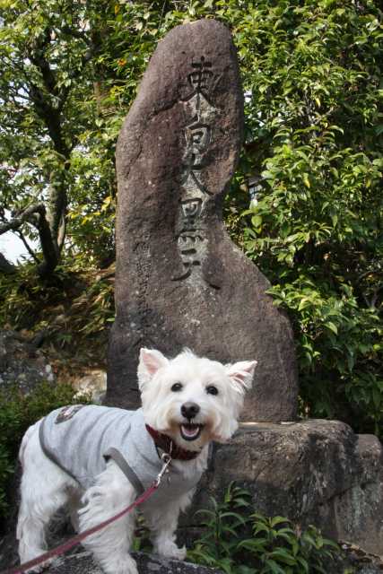 ２０１０年秋の京都　観光～２日目～_f0039907_0371768.jpg