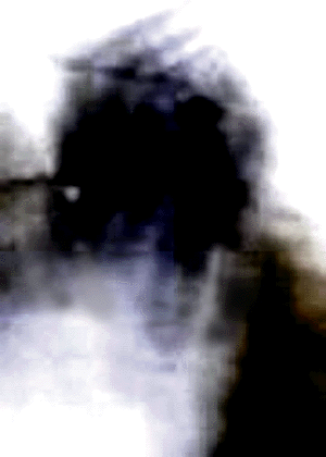 e0103408_20274339.gif