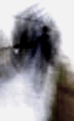 e0103408_20373921.gif