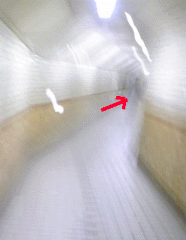 e0103408_20375065.gif