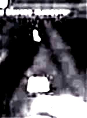 e0103408_2371689.gif