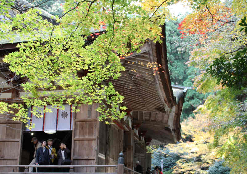 紅葉の湖東三山の旅_d0154609_16481520.jpg