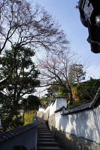 f0054610_18365377.jpg