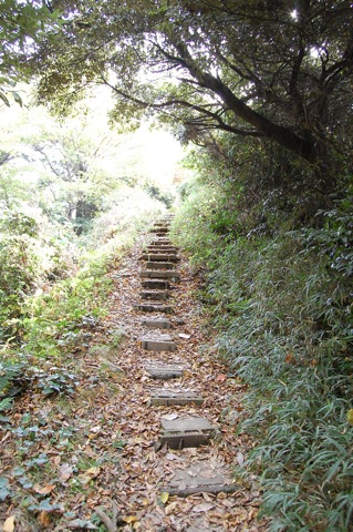 昨日鎌倉から帰ってきました。_a0112812_22385988.jpg