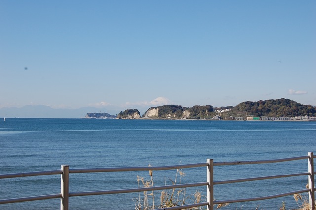 昨日鎌倉から帰ってきました。_a0112812_22492843.jpg