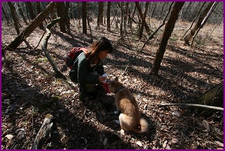 11/27　登山とイルミ_d0143214_22311383.jpg