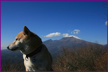 11/27　登山とイルミ_d0143214_22312561.jpg