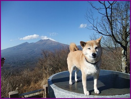 11/27　登山とイルミ_d0143214_22313178.jpg