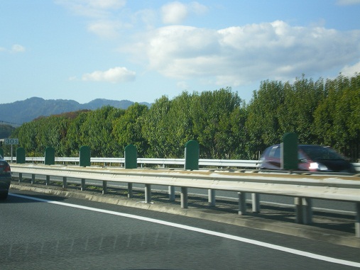 c0124619_15482278.jpg