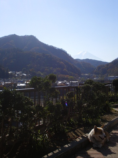 c0124619_15503483.jpg