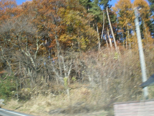 c0124619_15544299.jpg