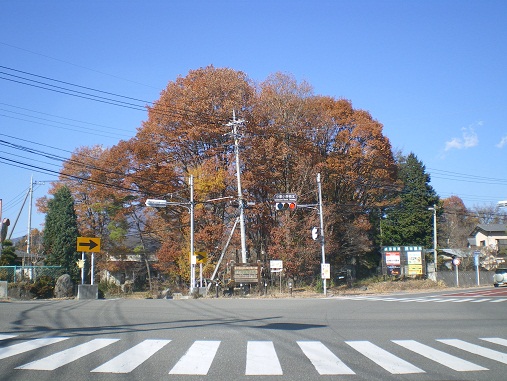 c0124619_1554559.jpg