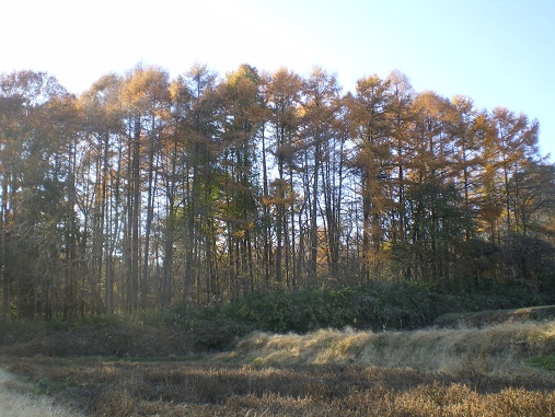 c0124619_15575437.jpg