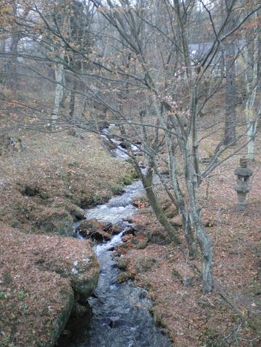 c0124619_169139.jpg