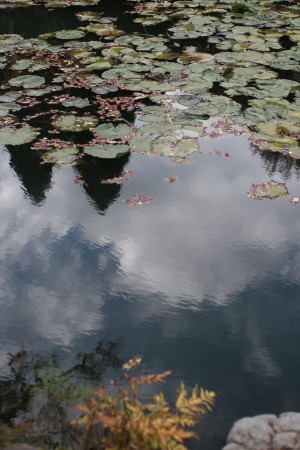 f0097620_23303141.jpg