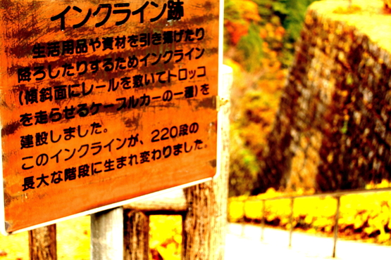 e0201121_0171023.jpg