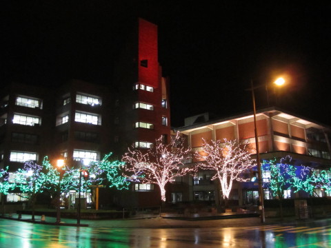 b0147224_20232510.jpg
