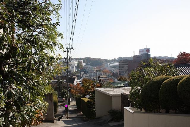 e0162524_12203258.jpg