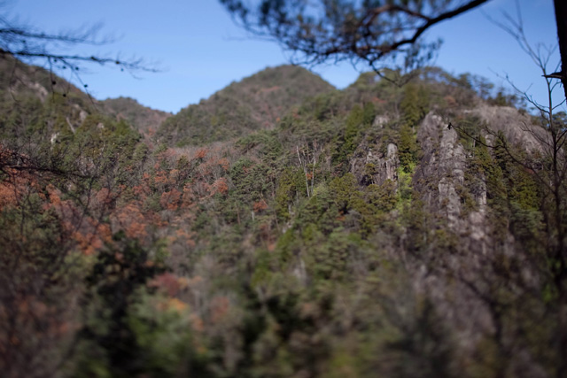 c0064025_12328.jpg