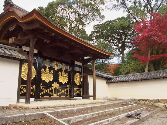 紅葉2010～醍醐寺～_e0080133_043981.jpg