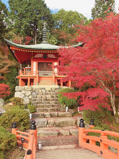 紅葉2010～醍醐寺～_e0080133_051797.jpg