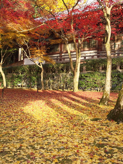 紅葉2010～醍醐寺～_e0080133_054514.jpg