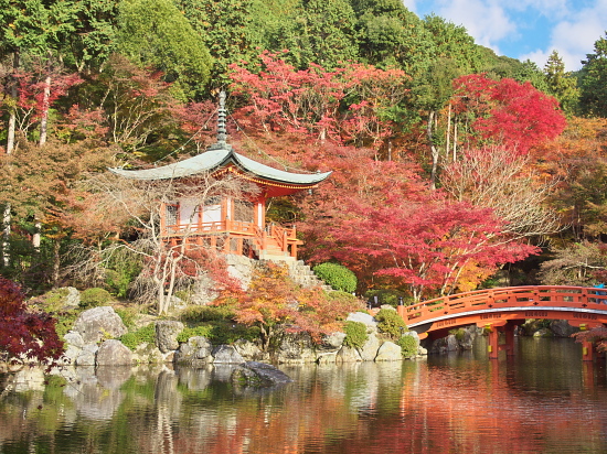 紅葉2010～醍醐寺～_e0080133_05656.jpg