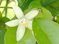 a0141134_239598.jpg