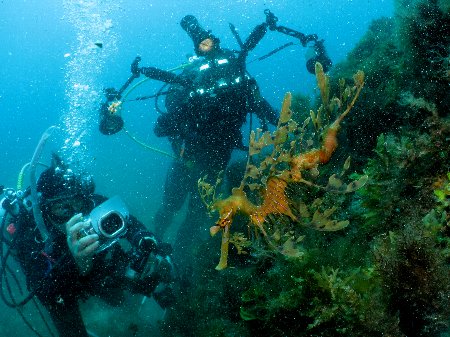 a0150039_244744.jpg