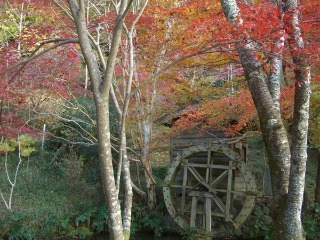e0110940_22311622.jpg