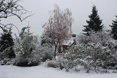 。。。　ドイツの冬　。。。_c0143243_11591878.jpg