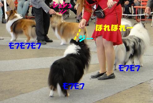 シェルシェルだらけ@平塚♪_e0195743_1233339.jpg