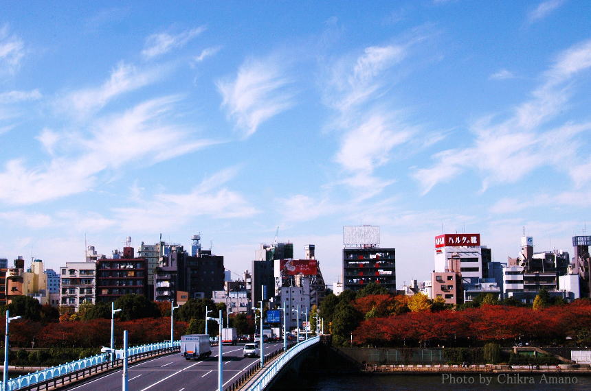 f0045844_8182998.jpg