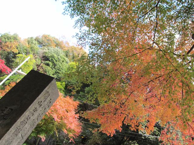 b0009849_18164845.jpg