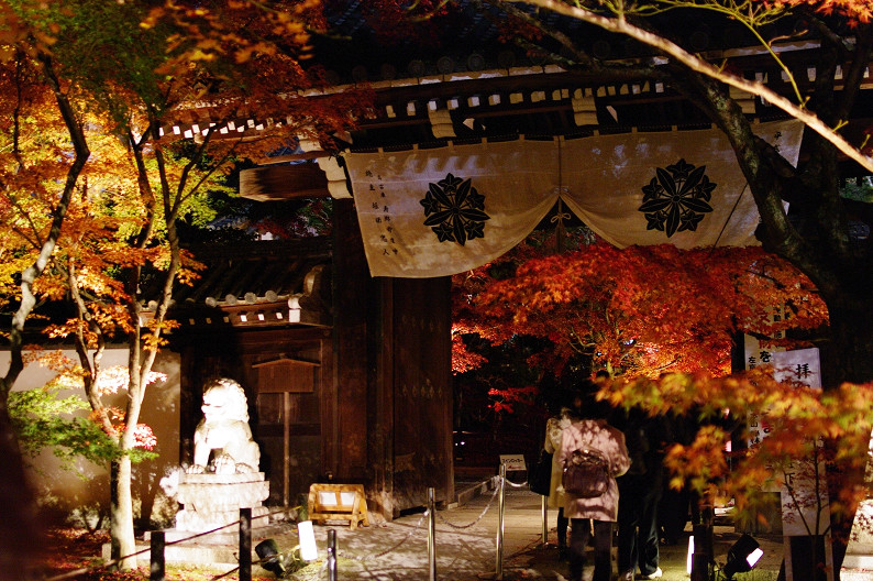 京都の紅葉2010　～永観堂～_f0152550_23391593.jpg