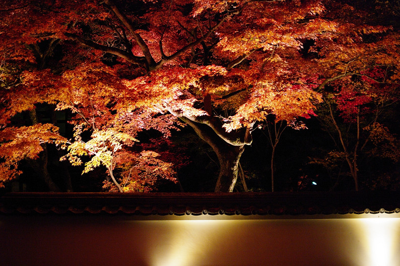 京都の紅葉2010　～永観堂～_f0152550_2339468.jpg