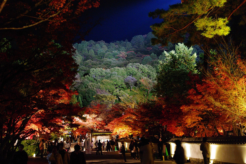 京都の紅葉2010　～永観堂～_f0152550_2339974.jpg