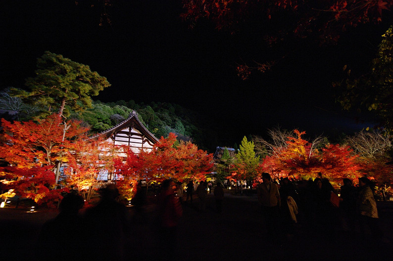 京都の紅葉2010　～永観堂～_f0152550_23414528.jpg