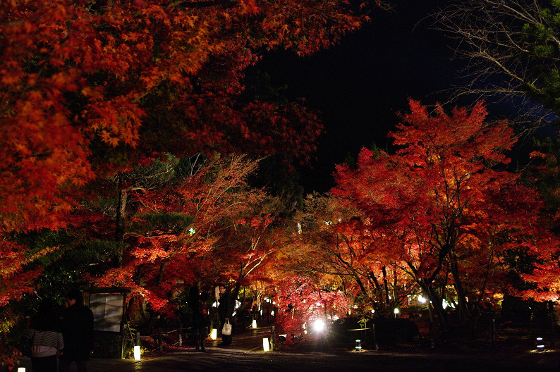 京都の紅葉2010　～永観堂～_f0152550_2342021.jpg