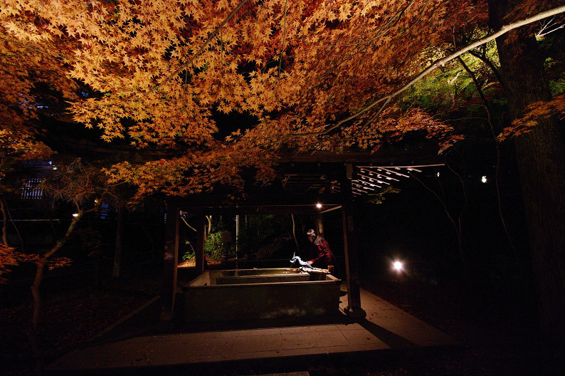 京都の紅葉2010　～永観堂～_f0152550_23424541.jpg