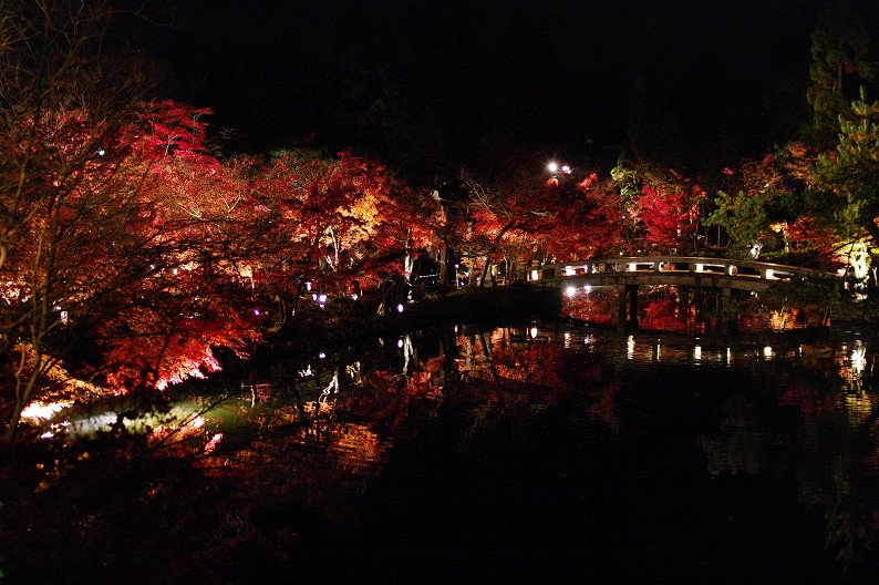 京都の紅葉2010　～永観堂～_f0152550_23442713.jpg