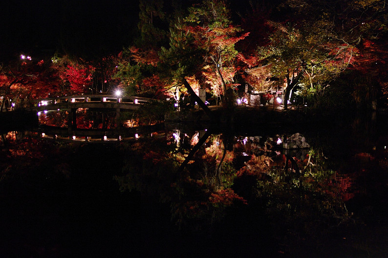 京都の紅葉2010　～永観堂～_f0152550_2344505.jpg