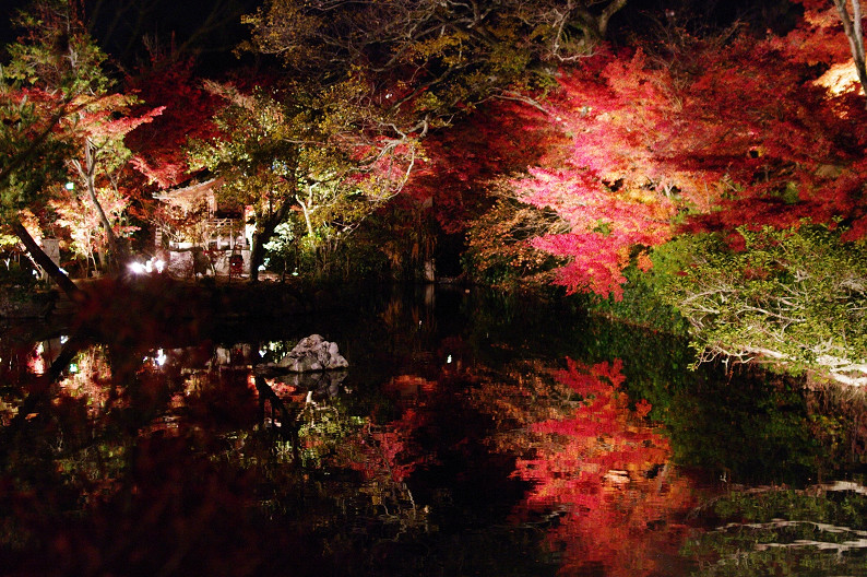 京都の紅葉2010　～永観堂～_f0152550_23464313.jpg