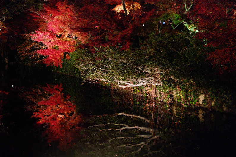 京都の紅葉2010　～永観堂～_f0152550_23465643.jpg