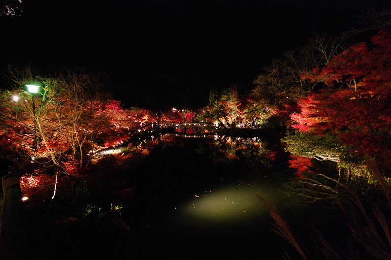 京都の紅葉2010　～永観堂～_f0152550_23471932.jpg