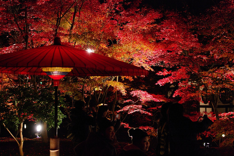 京都の紅葉2010　～永観堂～_f0152550_23482017.jpg