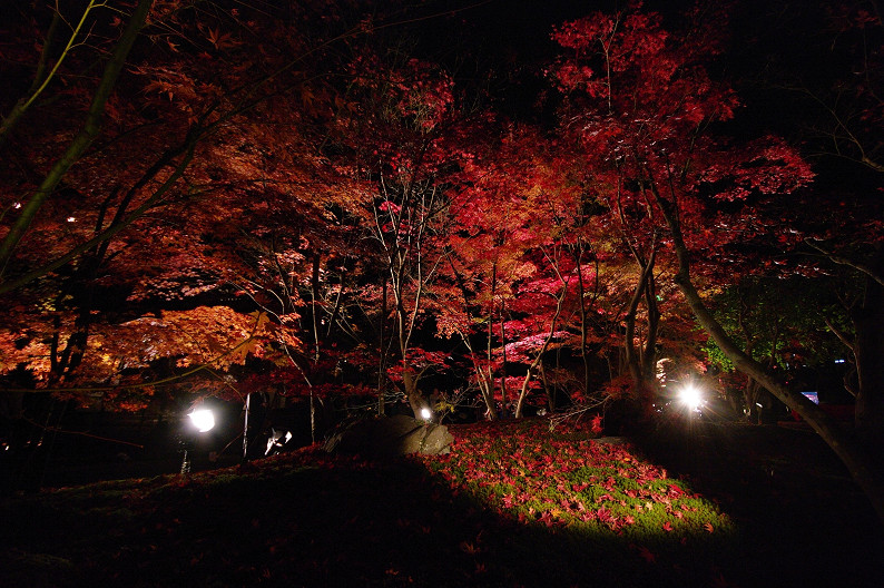 京都の紅葉2010　～永観堂～_f0152550_23493549.jpg