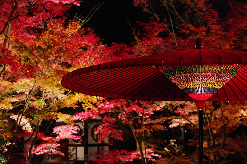 京都の紅葉2010　～永観堂～_f0152550_23502084.jpg