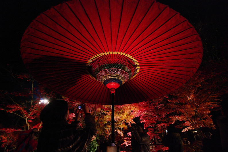 京都の紅葉2010　～永観堂～_f0152550_23502744.jpg