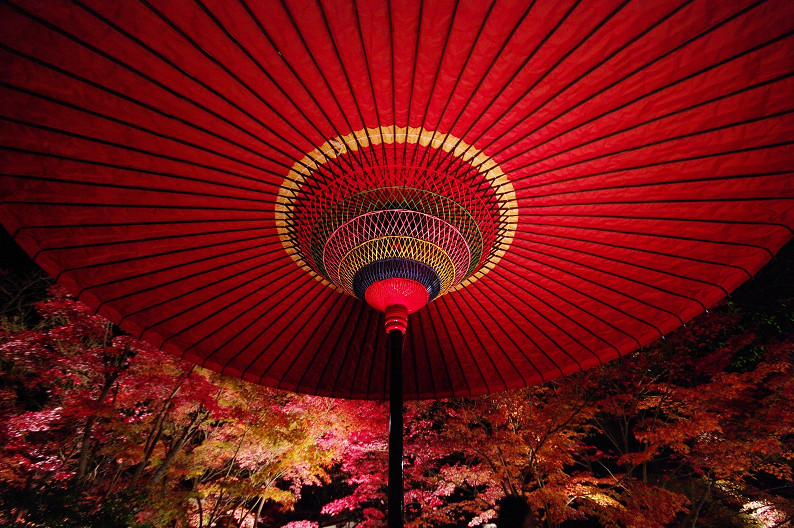 京都の紅葉2010　～永観堂～_f0152550_23503562.jpg